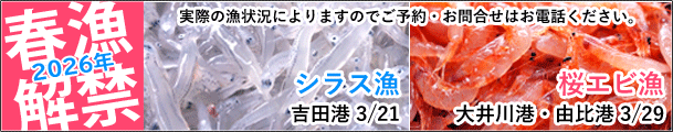 春漁解禁予定日